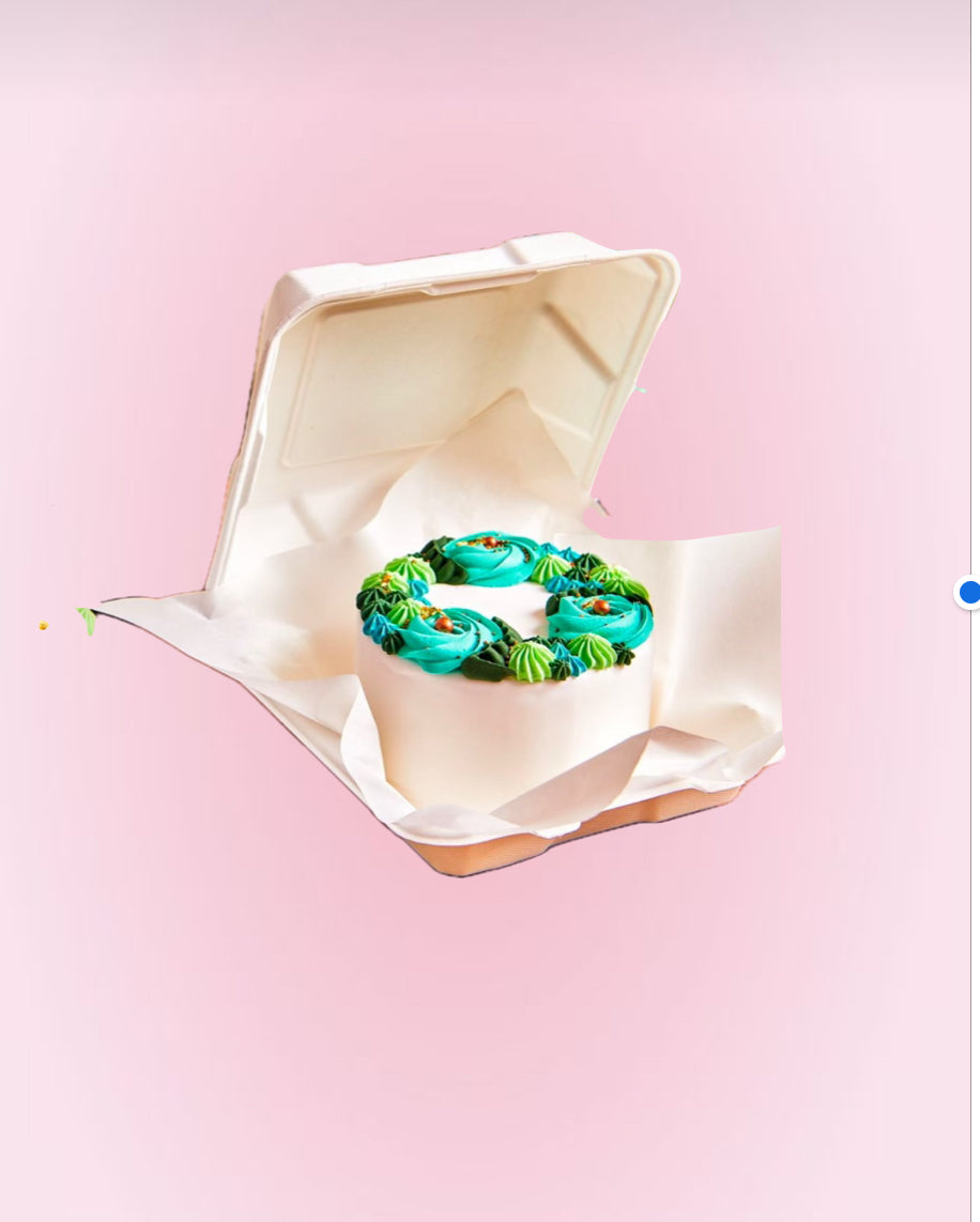 Boîte à Bento Cake