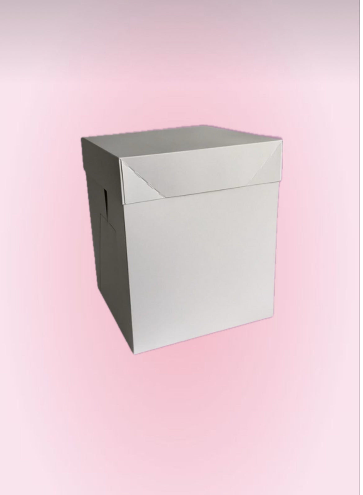 Boîte à Gâteau 30cm Hauteur 30cm