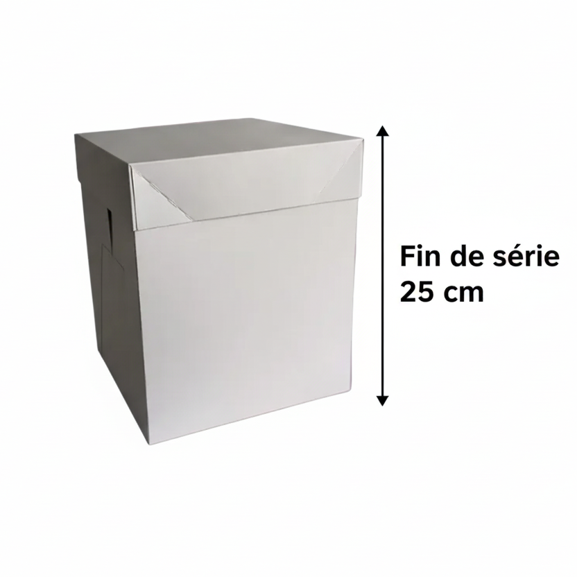 Boîte à Gâteau 25cm Hauteur 25cm